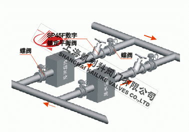 SP45F數(shù)字鎖定平衡閥安裝示意圖