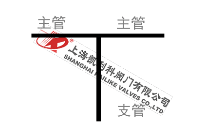 鑄鋼T型過濾器管路支管圖